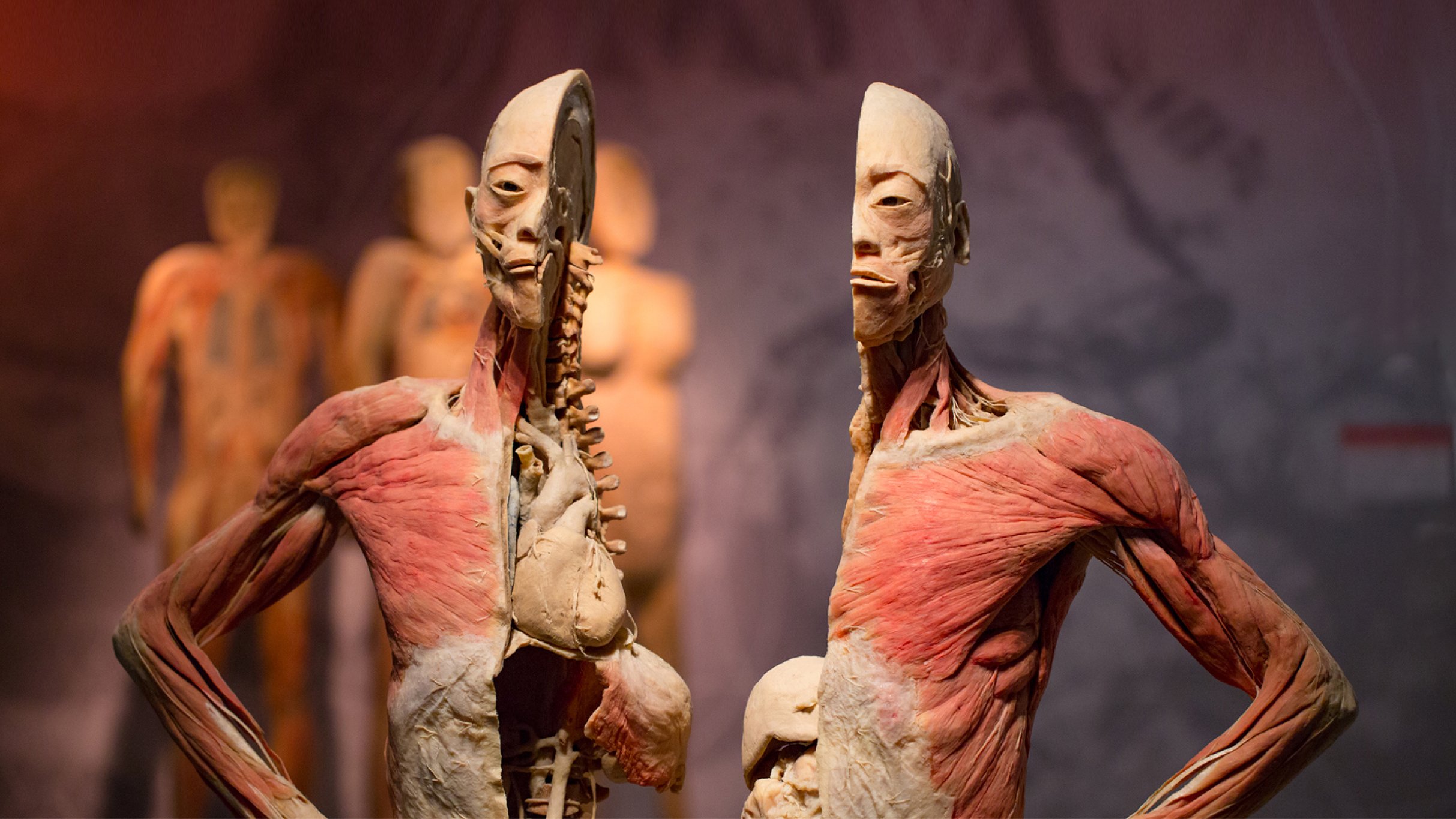Découverte macabre dans le désert de Nevada : des dizaines de corps humains retrouvés près de Las Vegas