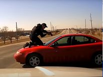 Une étoile de « Fast And Furious » arrêtée après des actes de cruauté envers les animaux